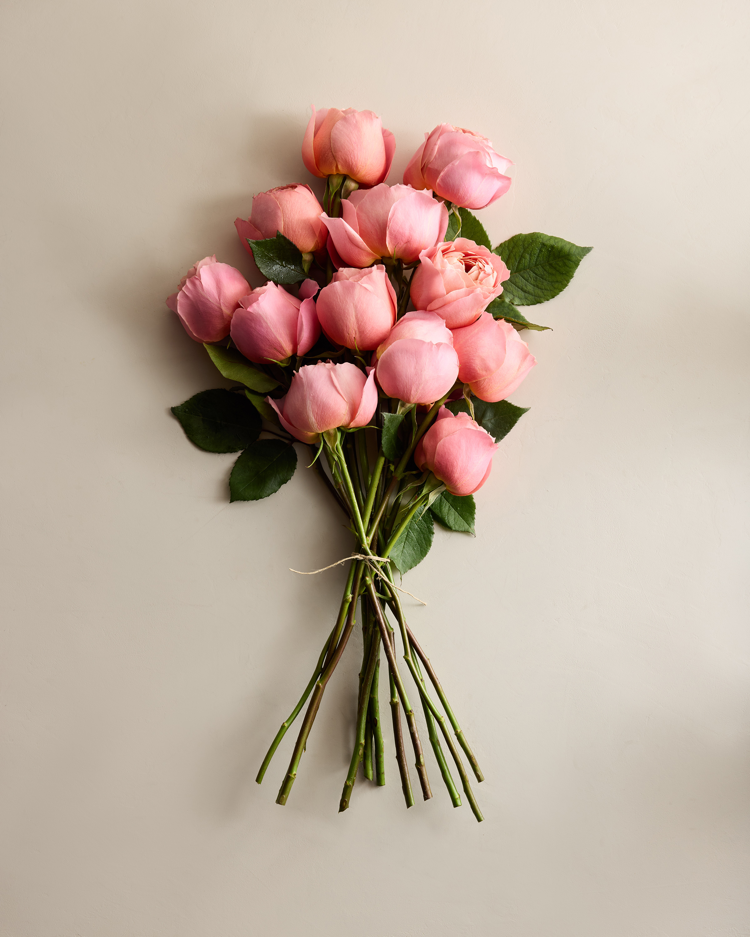 Dusk Garden Roses (12 stems)