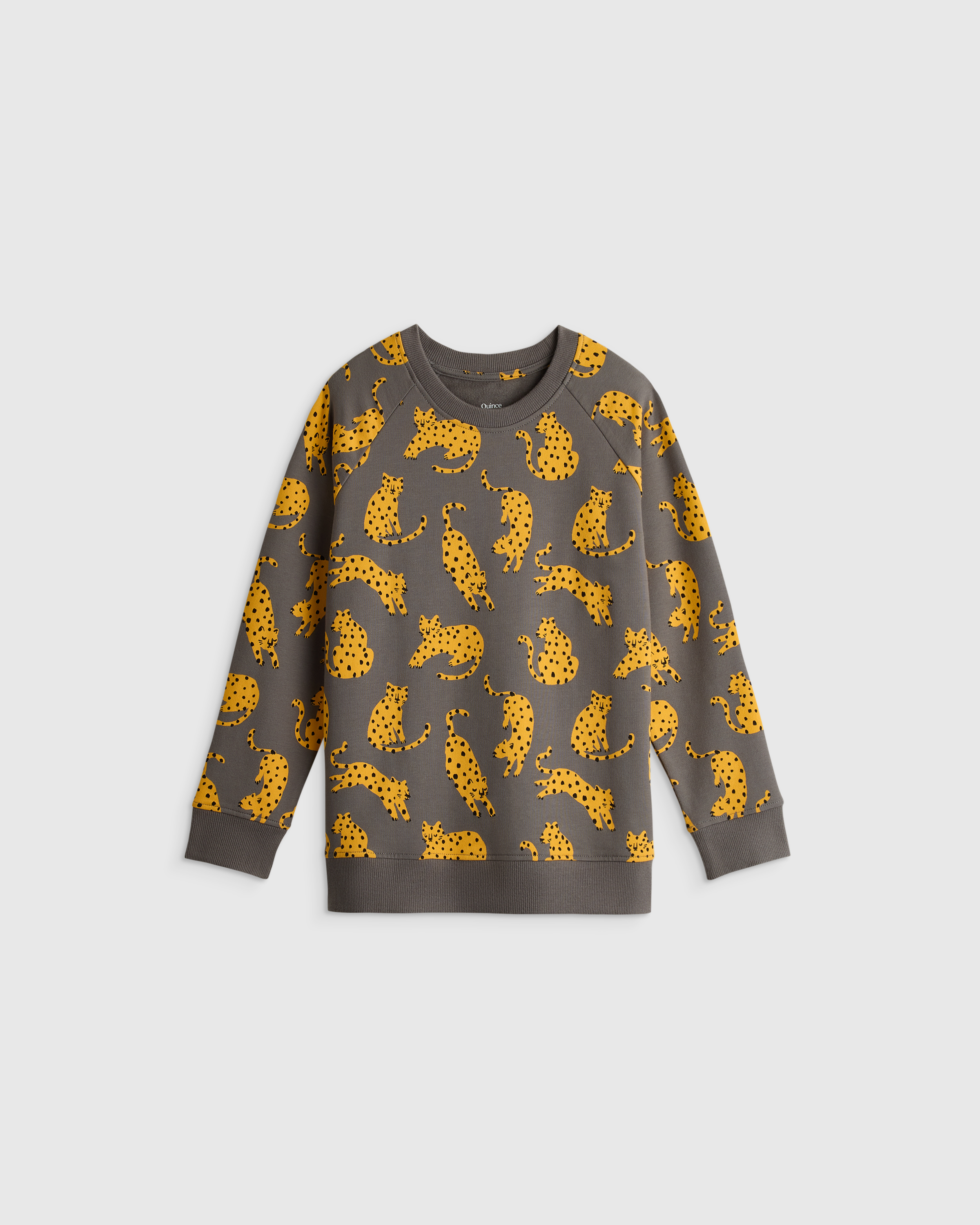 Organic Cotton French Terry Crew Neck Sweatshirt