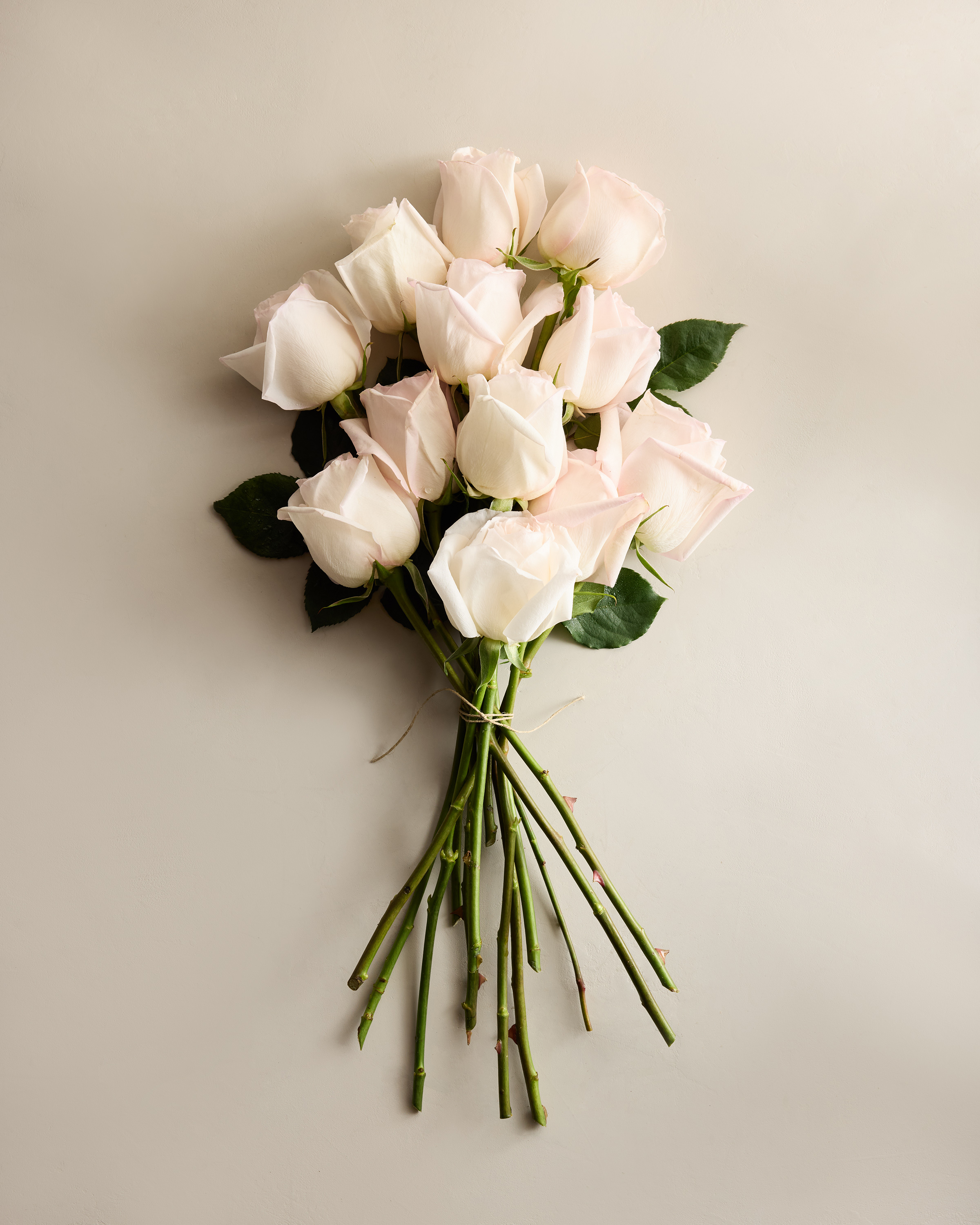 Pearl Garden Roses (12 stems)