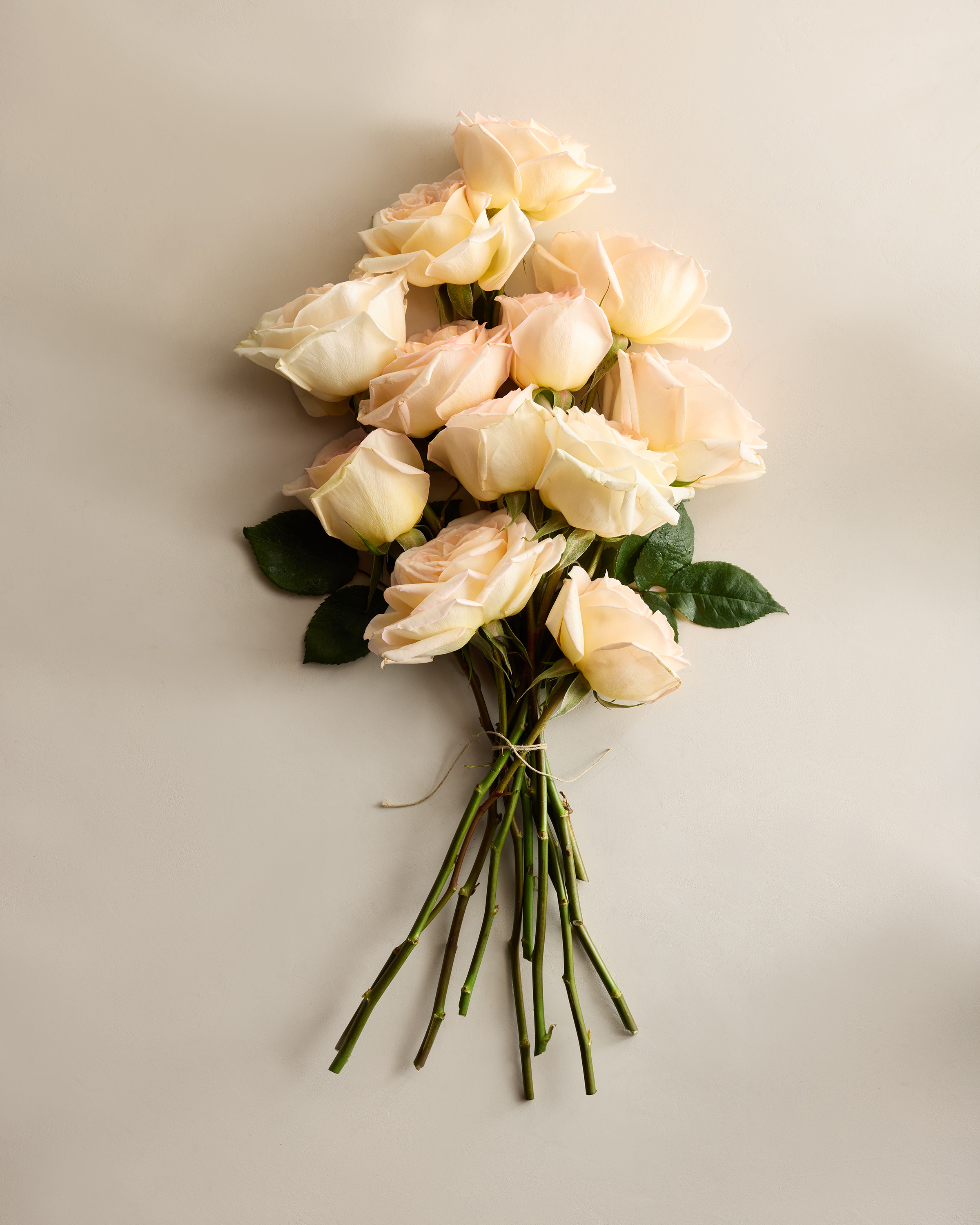 Afterglow Garden Roses (12 stems)